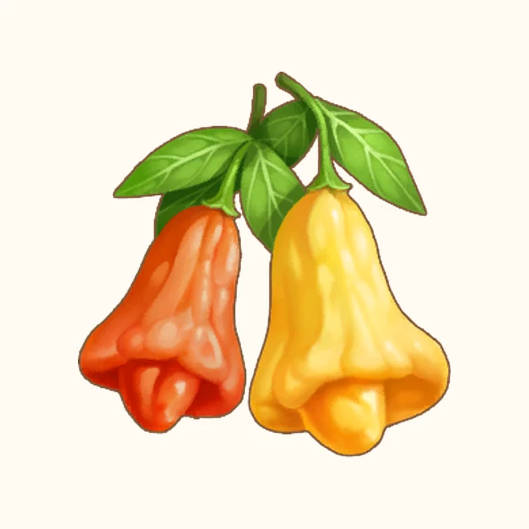 Bell Pepper