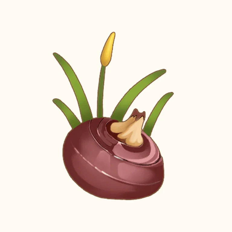 King Water Chestnut